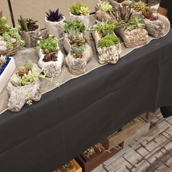 Succulents unique hand made artistic - Picture 3 of 7